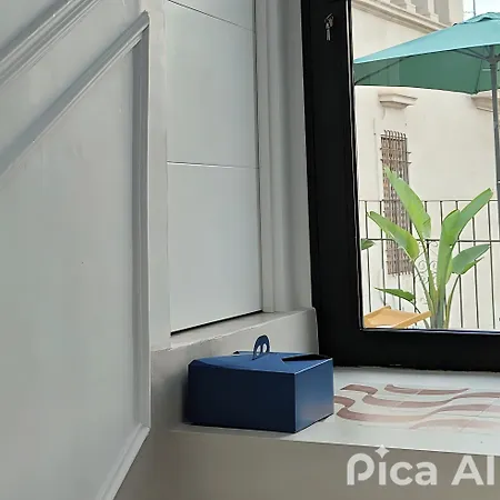 Luxurious In Historic Center Of Alicante